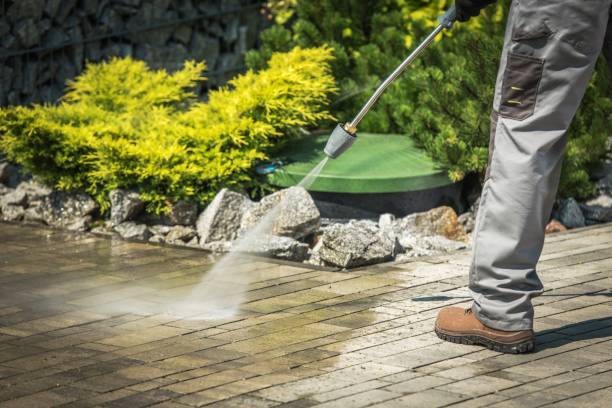 Best Solar Panel Cleaning  in Northglenn, CO