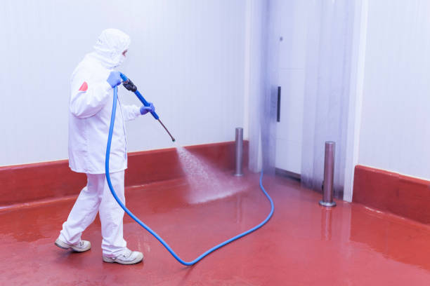 Best Paint Preparation  in Northglenn, CO