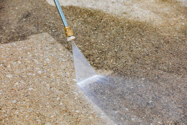 Animal Enclosure Cleaning in Northglenn, CO